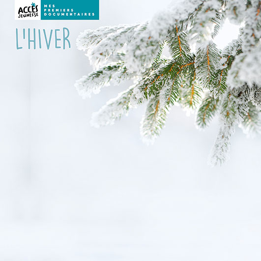 Couverture du livre photo L’hiver de la collection Mes Documentaires d'ACCÈS Jeunesse illustrée par une branche de sapin couverte de neige.